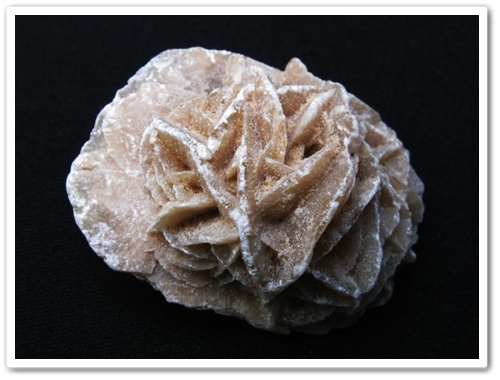 rosa del desierto.jpg